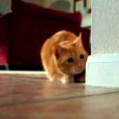 26 Strange Phobias that You may have Never Heard Of 26 Strange Phobias that You may have Never Heard Of
