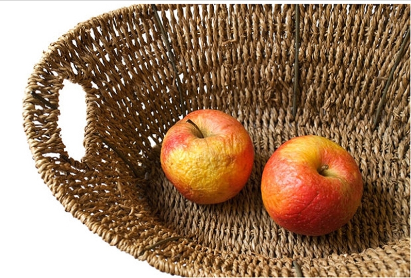 26 tips on how best to store food 26 tips on how best to store food