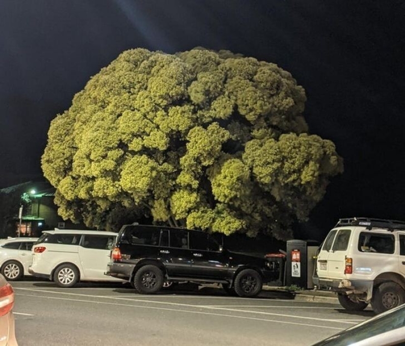 27 amazing photos that don't have a drop of photoshop on them