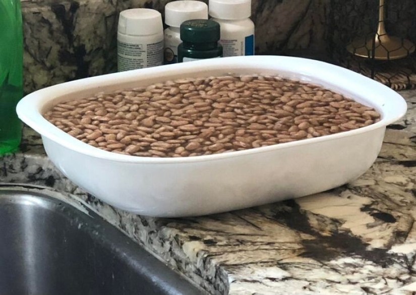 27 amazing photos that don't have a drop of photoshop on them