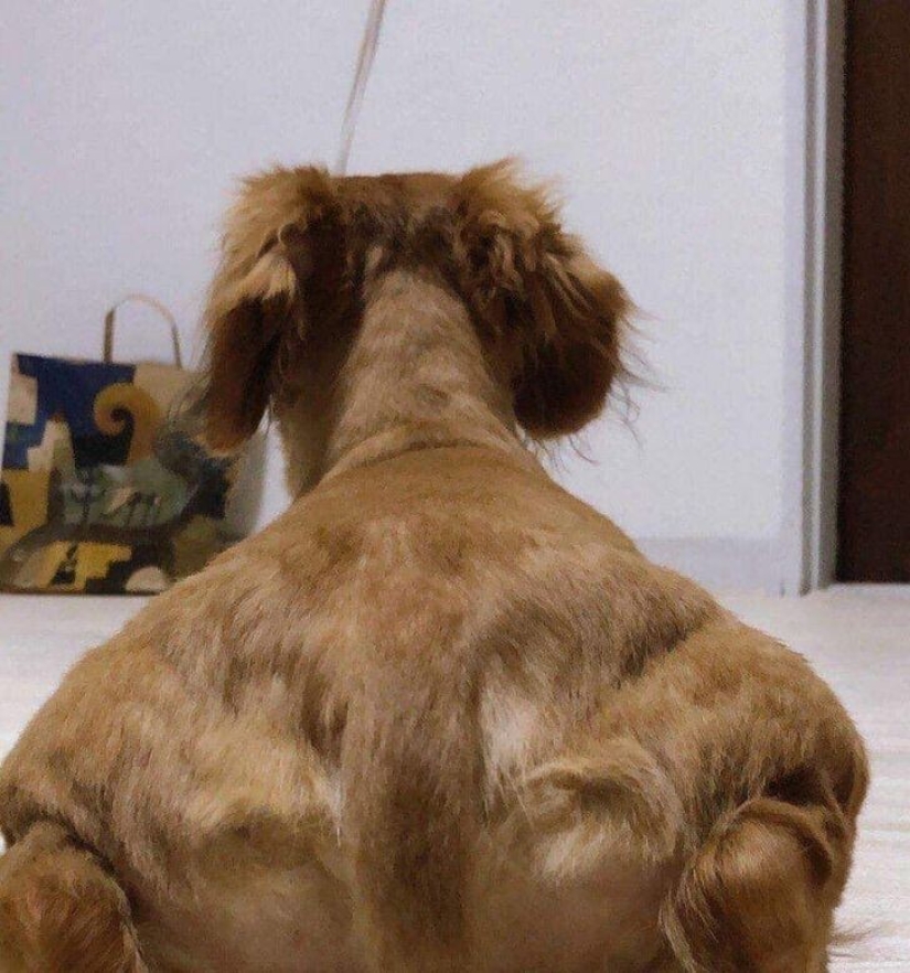 27 amazing photos that don't have a drop of photoshop on them