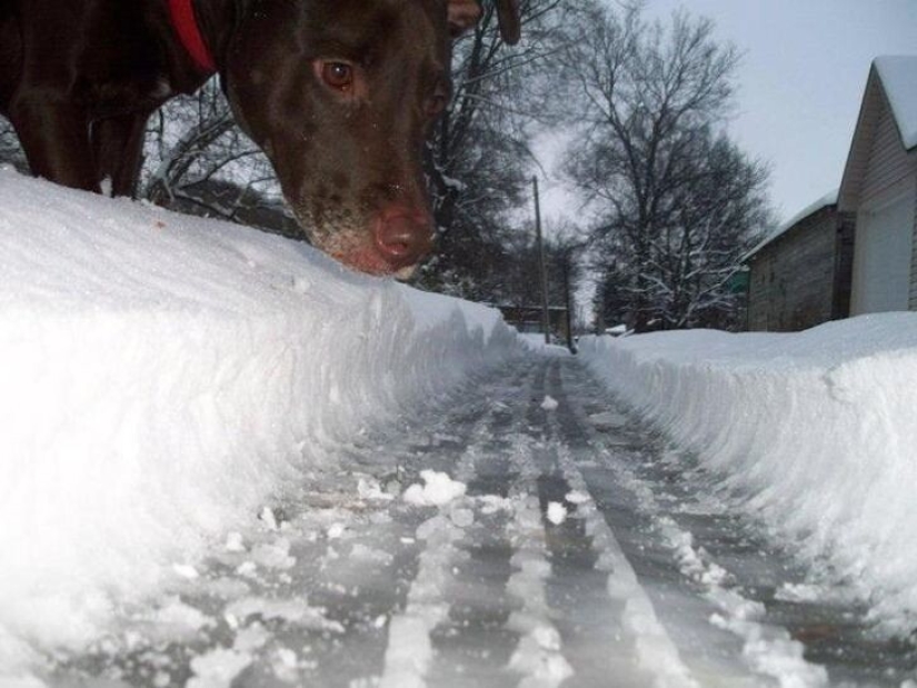 27 amazing photos that don't have a drop of photoshop on them