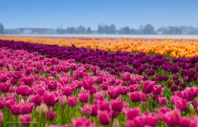 27 incredible places that you must see firsthand
