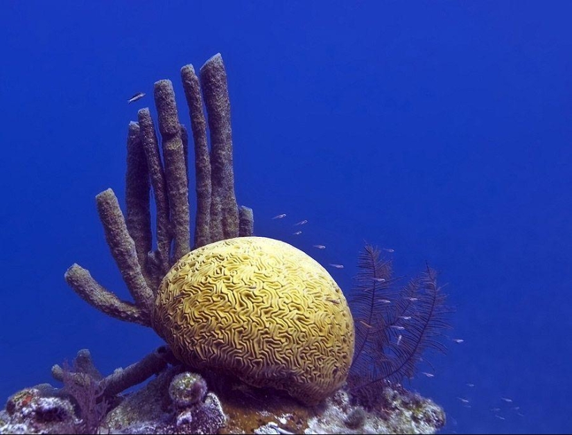 27 incredible places that you must see firsthand