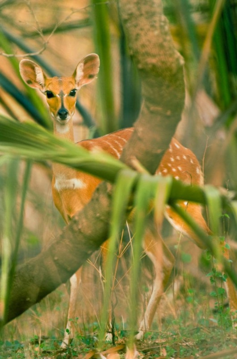 27 lugares para visitar antes de que sea demasiado tarde