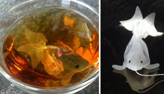 28 examples of ingenious food packaging that doesn't belong in the trash 28 examples of ingenious food packaging that doesn't belong in the trash