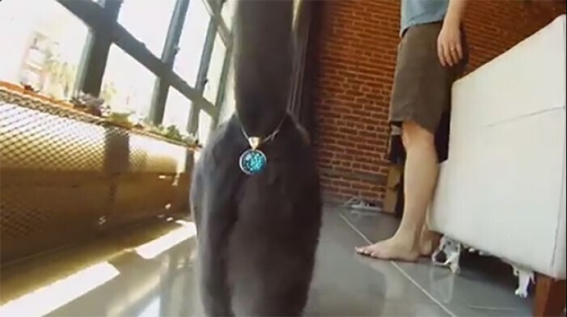 30 absolutely useless things that exist for some reason