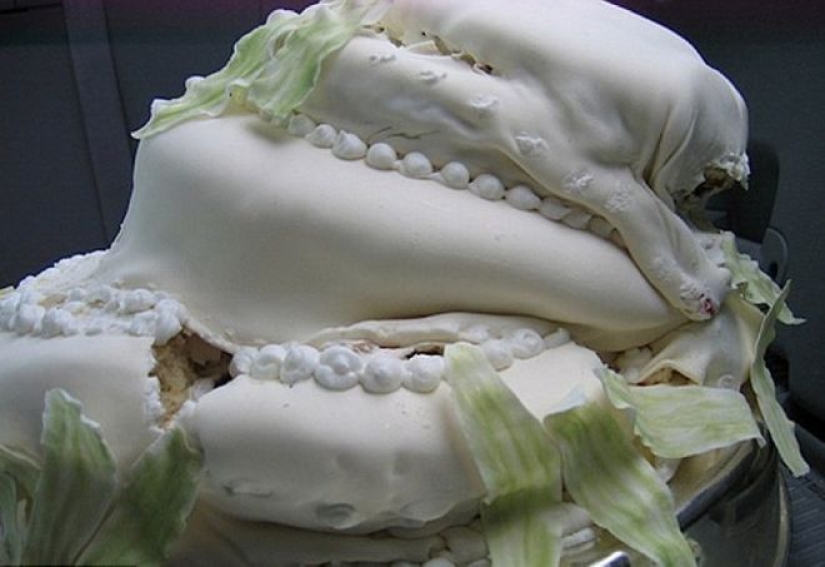 30 "aburrido" pasteles, aspecto en el que puedes llorar