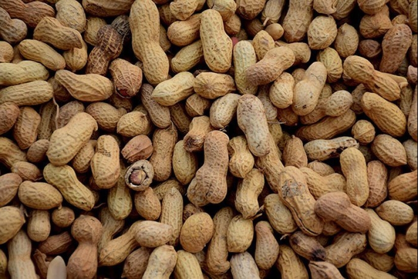 30 amazing facts that at first glance seem absurd