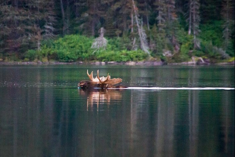 30 amazing facts that at first glance seem absurd
