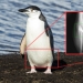 30 amazing facts that at first glance seem absurd 30 amazing facts that at first glance seem absurd