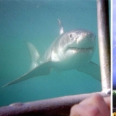 30 amazing facts that will blow your brain! 30 amazing facts that will blow your brain!