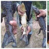 30 amazing finds created by nature and people 30 amazing finds created by nature and people