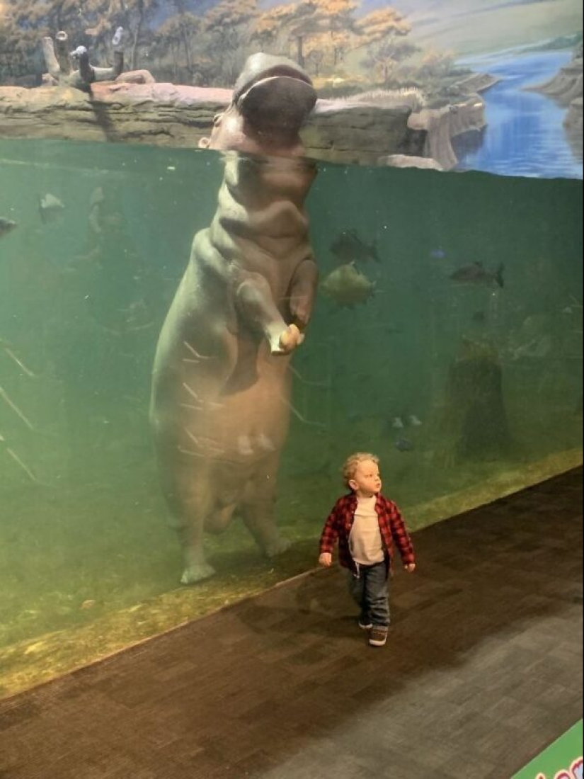 30+ animals, real sizes which will surprise you