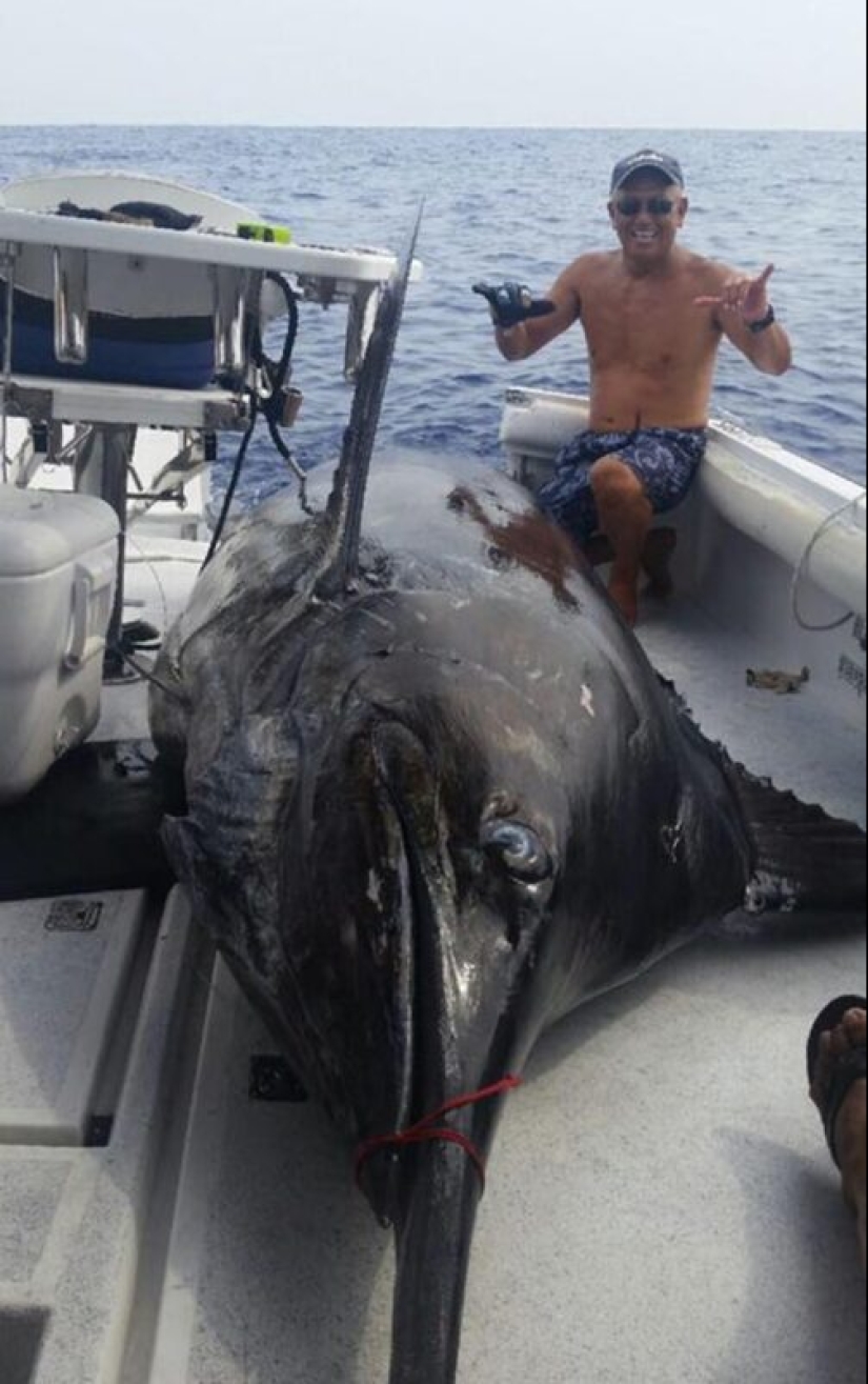 30+ animals, real sizes which will surprise you