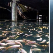 30 beautiful photos of abandoned places from all over the world 30 beautiful photos of abandoned places from all over the world