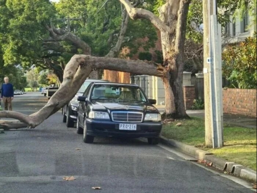 30 cases when people are incredibly lucky 30 cases when people are incredibly lucky