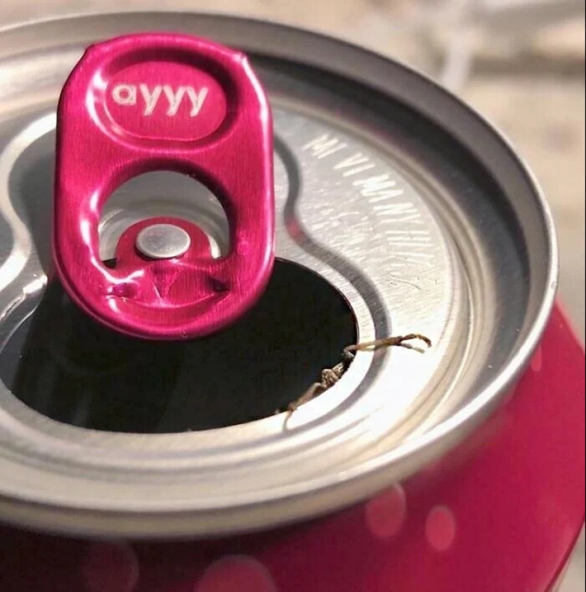 30 cases when people are incredibly lucky 30 cases when people are incredibly lucky