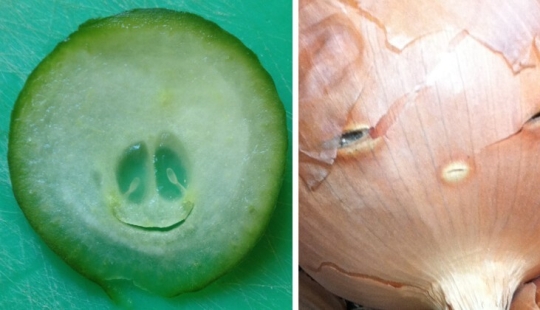 30+ cases when people looked at the world, and he looked at them in response