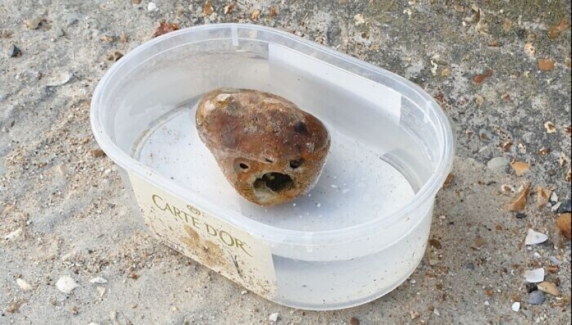 30 + casos cuando la gente miraba el mundo, y él los miraba en respuesta 30 + casos cuando la gente miraba el mundo, y él los miraba en respuesta