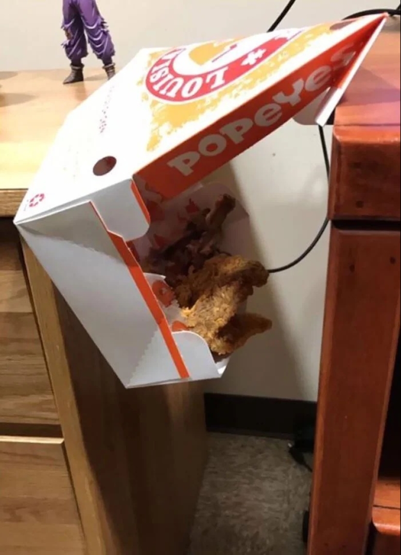 30 casos en los que las personas son increíblemente afortunadas