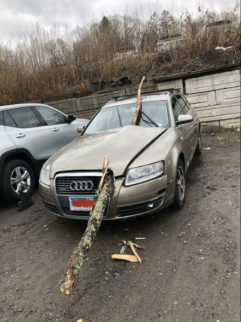 30 casos en los que las personas son increíblemente afortunadas