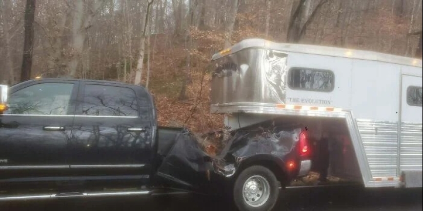 30 casos en los que las personas son increíblemente afortunadas