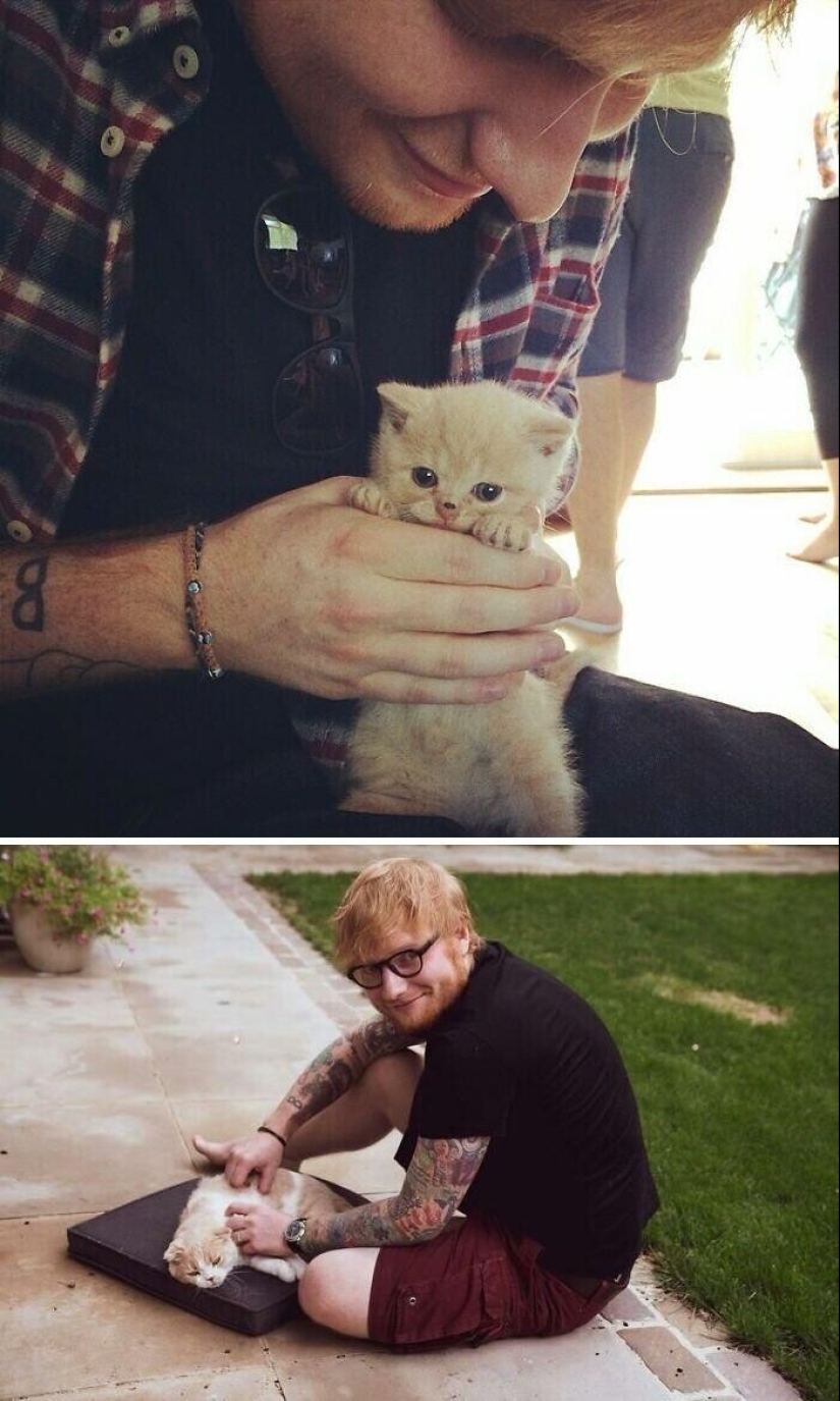 30 celebridades que aman a los gatos