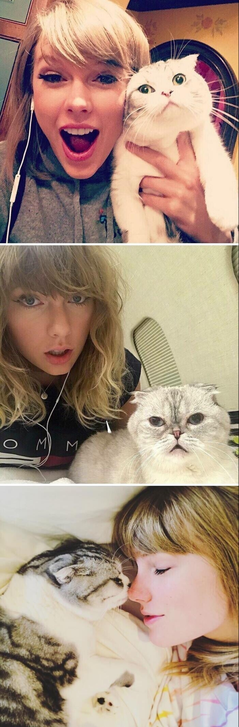 30 celebridades que aman a los gatos