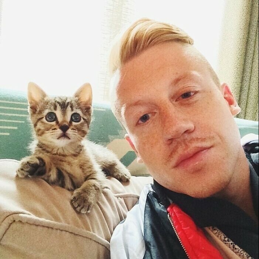 30 celebridades que aman a los gatos