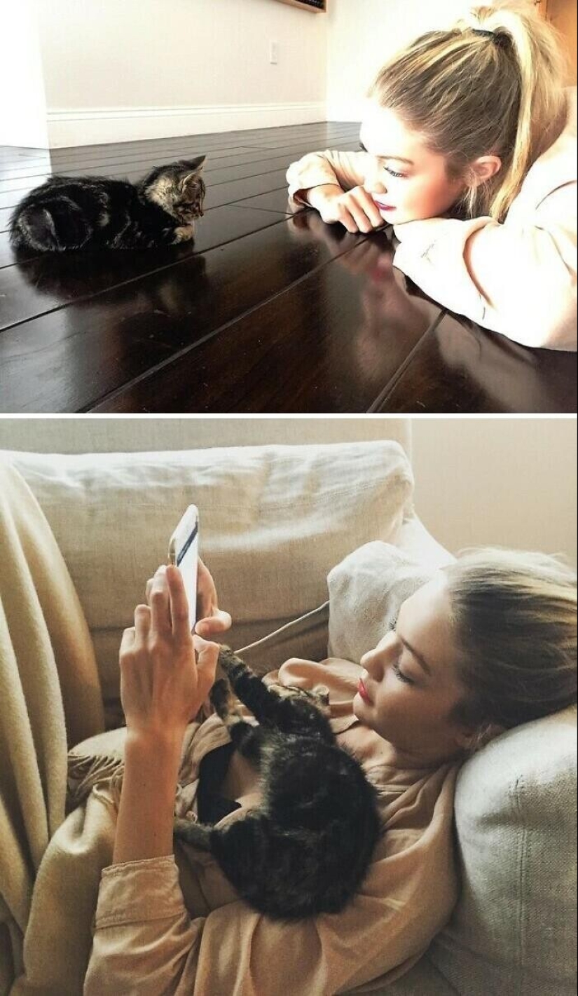 30 celebridades que aman a los gatos