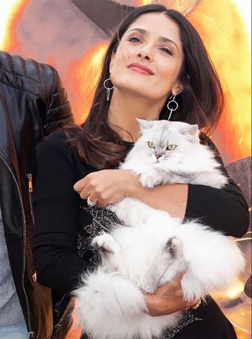 30 celebridades que aman a los gatos