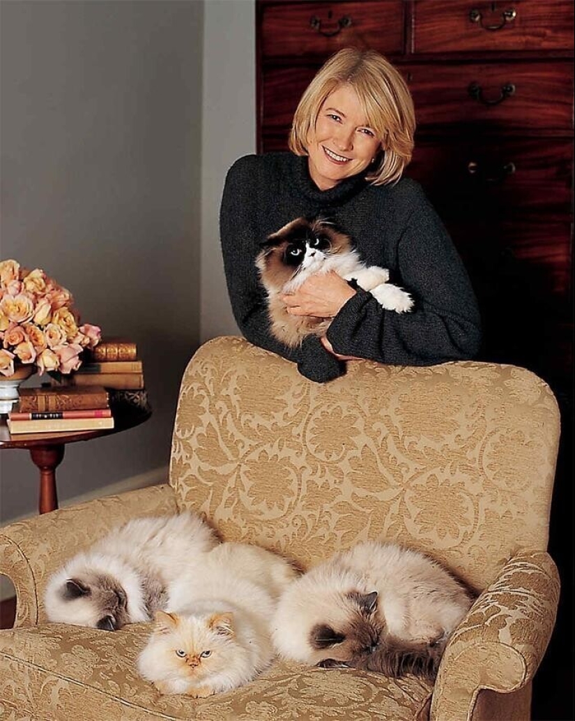30 celebridades que aman a los gatos