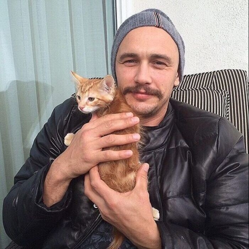 30 celebridades que aman a los gatos
