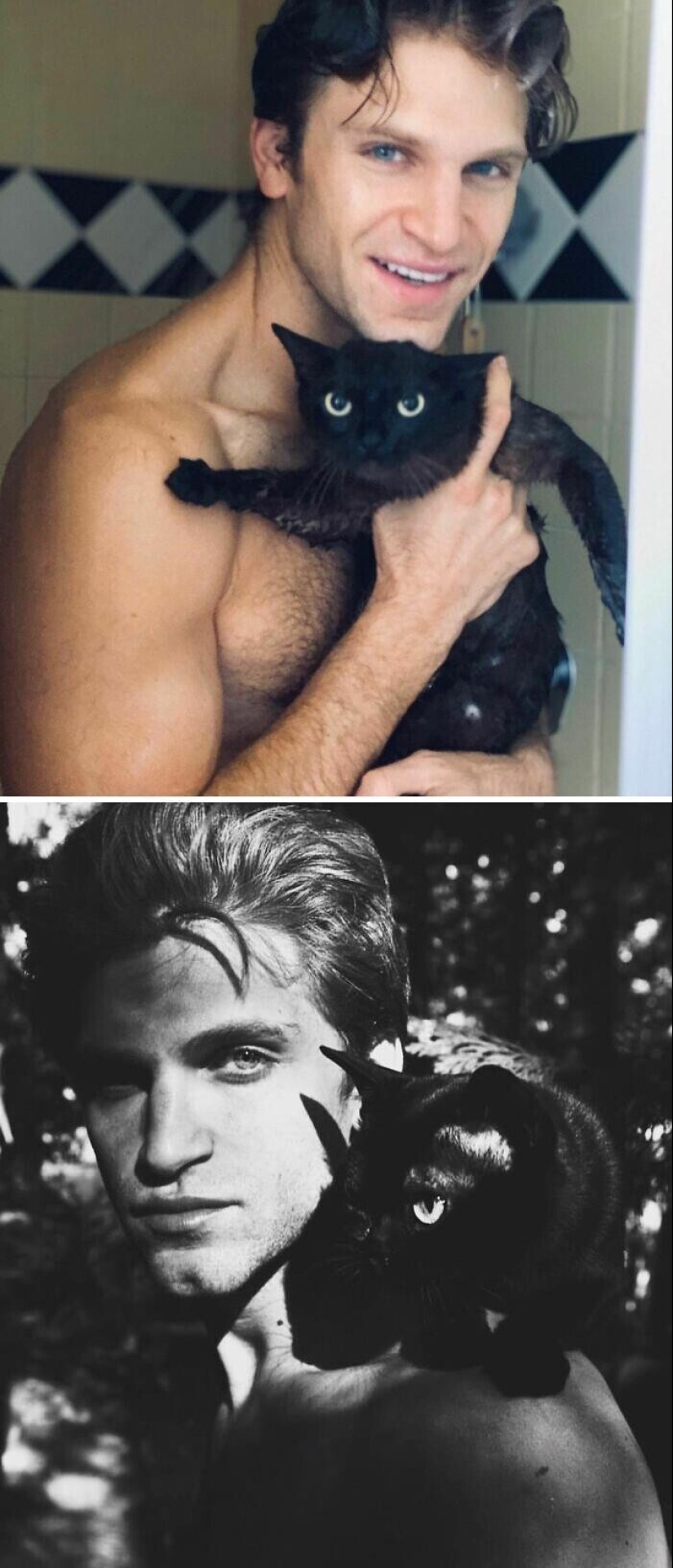 30 celebridades que aman a los gatos