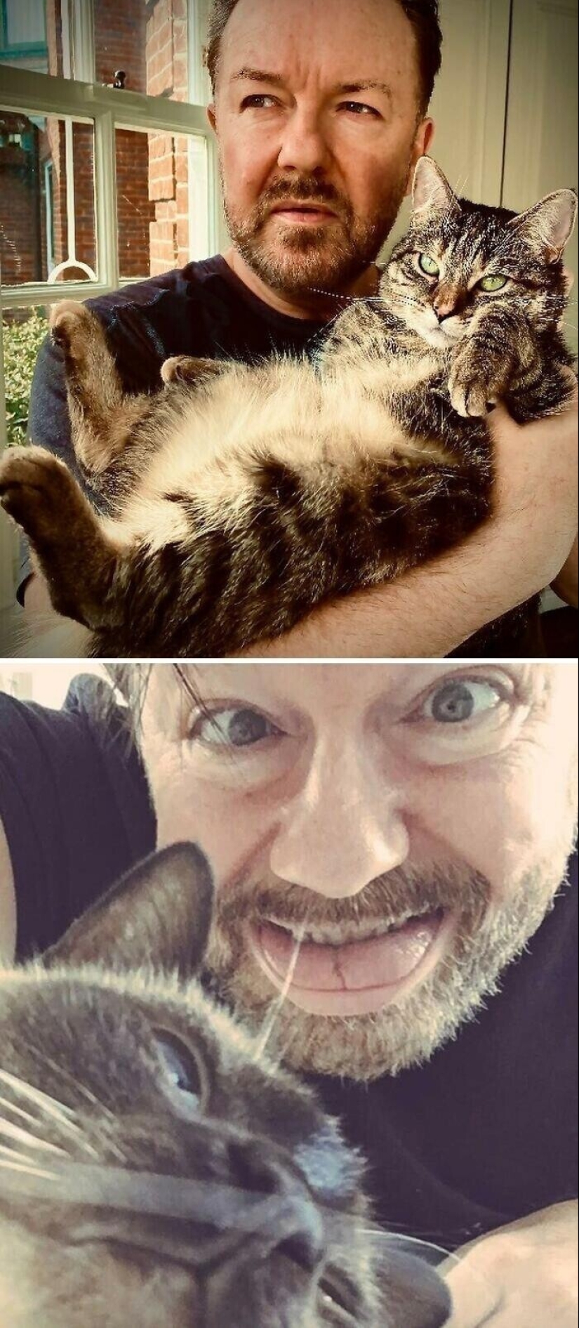 30 celebridades que aman a los gatos