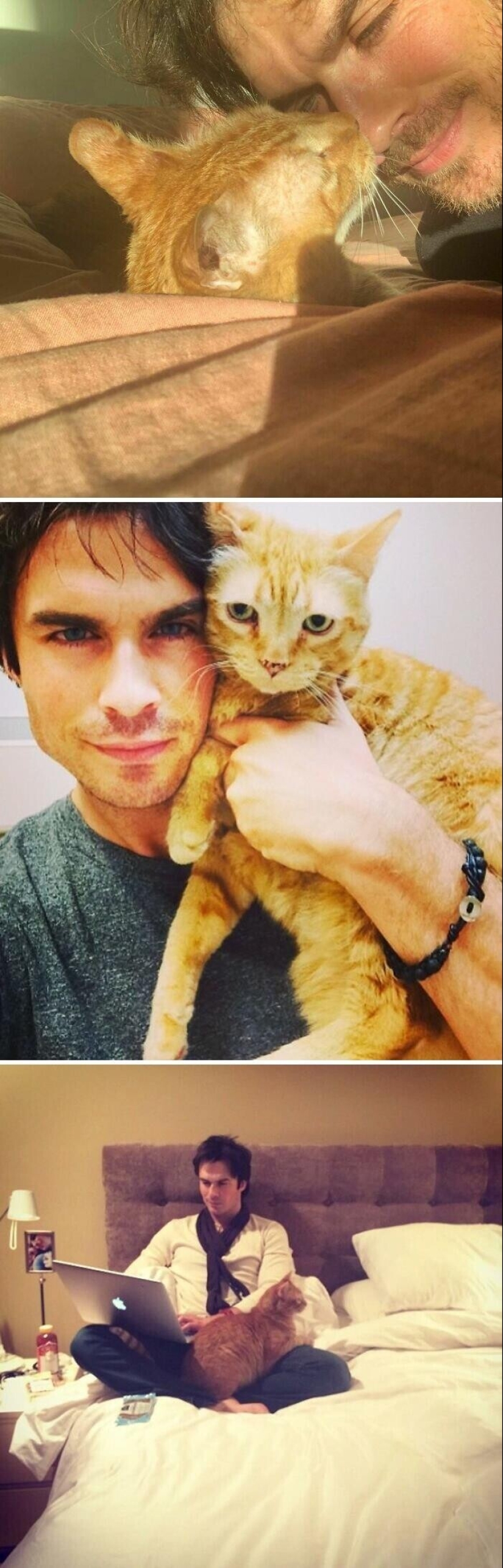 30 celebridades que aman a los gatos