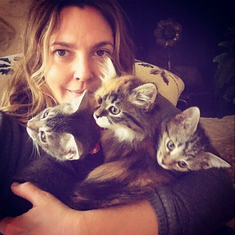 30 celebridades que aman a los gatos