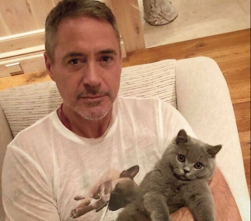 30 celebridades que aman a los gatos