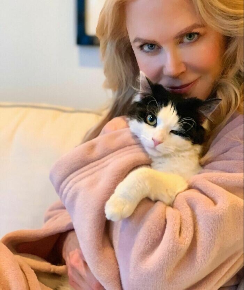 30 celebridades que aman a los gatos