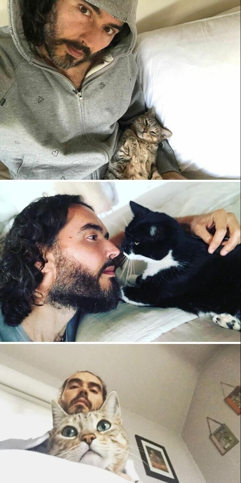 30 celebridades que aman a los gatos