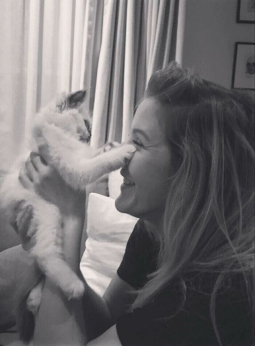 30 celebrities who love cats