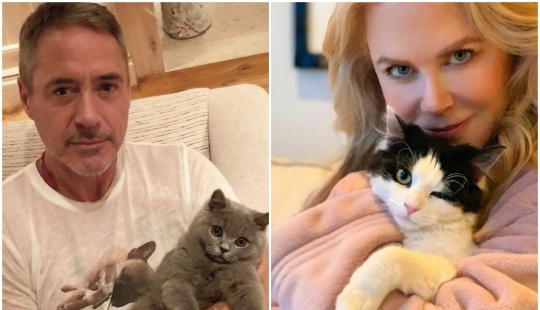 30 celebrities who love cats 30 celebrities who love cats