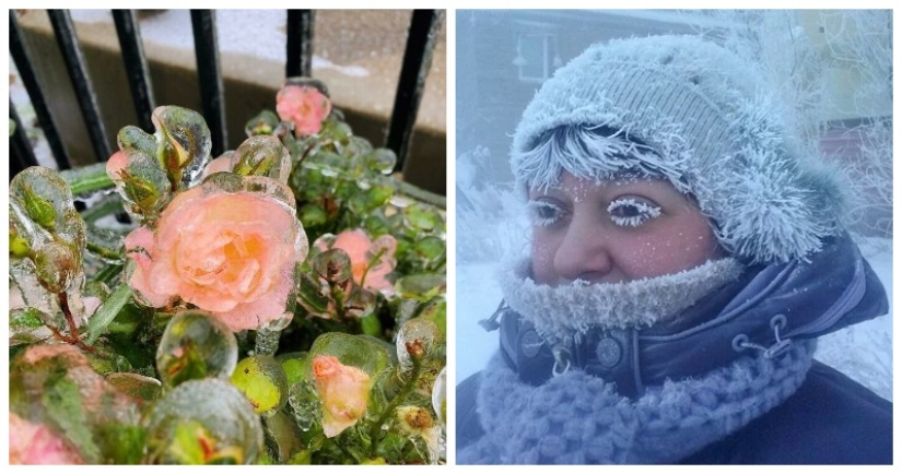 30 cold photos that clearly show the full power of the harsh winter