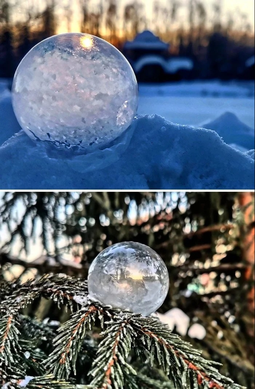 30 cold photos that clearly show the full power of the harsh winter