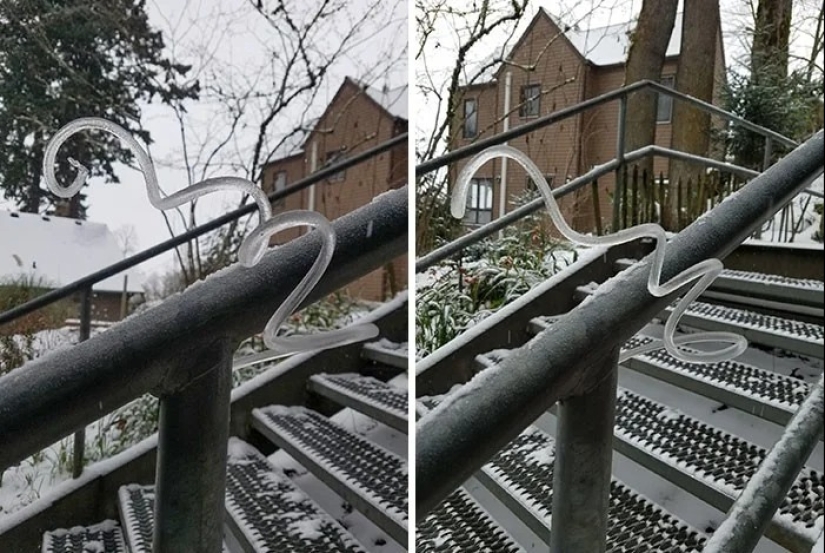 30 cold photos that clearly show the full power of the harsh winter
