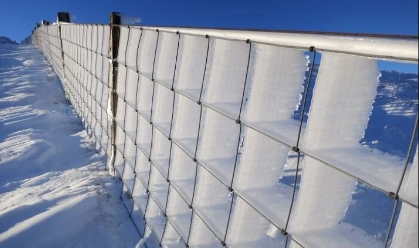 30 cold photos that clearly show the full power of the harsh winter