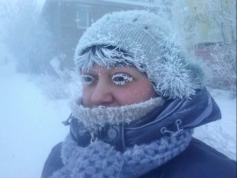 30 cold photos that clearly show the full power of the harsh winter