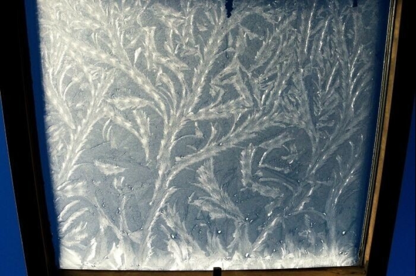 30 cold photos that clearly show the full power of the harsh winter