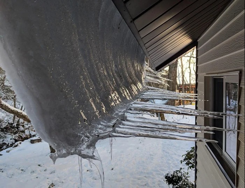 30 cold photos that clearly show the full power of the harsh winter